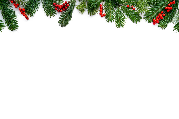 istock Christmas fir tree and holly berries copy space isolated on white background 1435535135