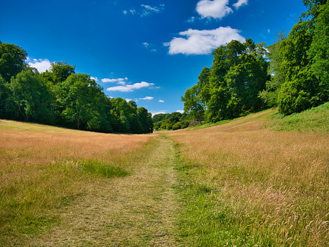 A path through long grasses between two hills lined with tress with green leaves. Taken on a sunny day in summer with blue skies.