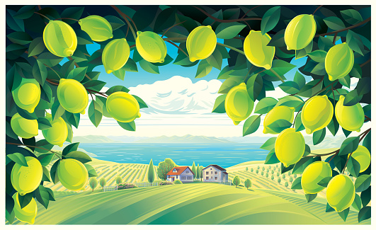 Rural scenery, with lemon tree branches in the foreground, and a village in the background. Vector illustration.