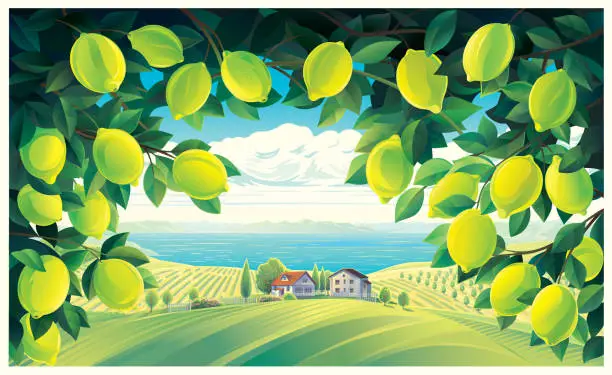 Vector illustration of Rural landscape, with lemon tree branches in the foreground.