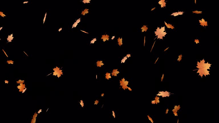 Falling Autumn Leaves 4K Animation Transparent Background Video