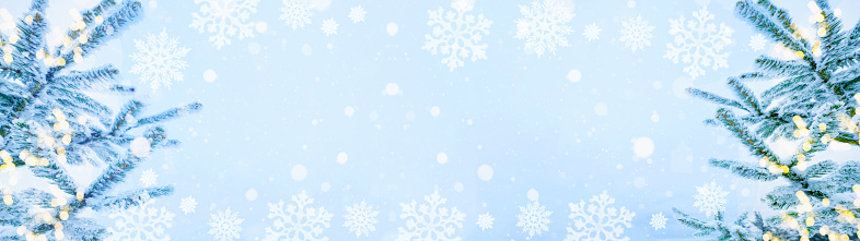 Winter / snow Christmas background banner panorama - Snowy frozen fir branches and bokeh lights with blue snowy snowfall sky and ice crystals