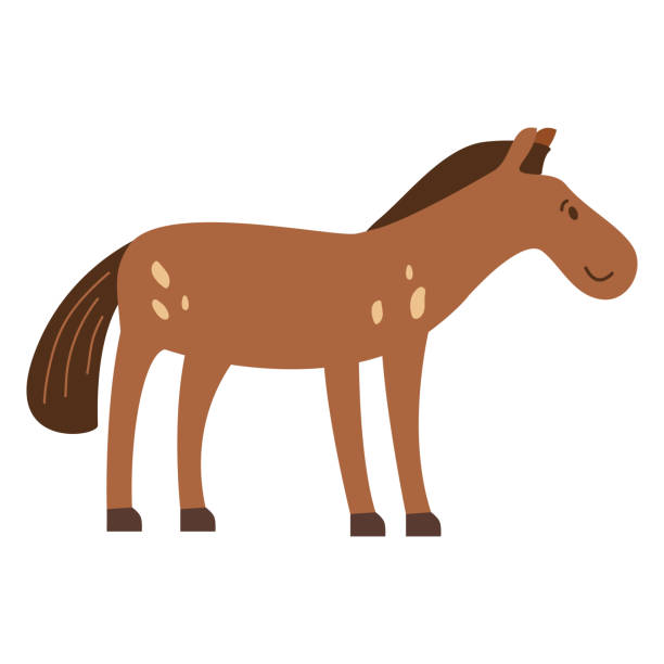 27 Mating Of Horses Drawing Illustrations & Clip Art - iStock 27 Mating Of Horses Drawing Illustrations & Clip Art - iStock