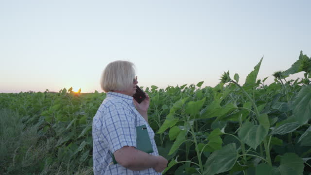 Mature chubby female farmer talking on the phone.