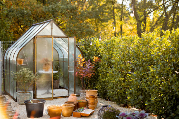 istock Garden with beautiful glass orangery 1435548501