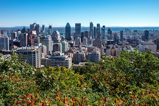 Montreal skyline seen from Mont Royal Mountain. Canada