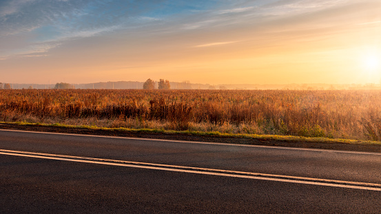 Asphalt road at sunrise. Grassy meadow in the background. Misty autumn morning