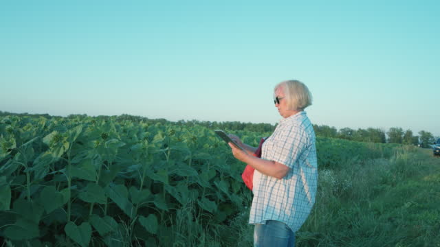 Mature chubby female farmer enters information into a tablet computer.