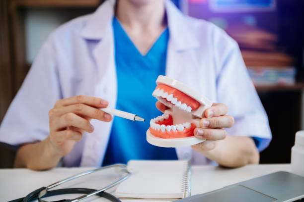 istock Concentrated dentist sitting at table with jaw samples tooth model and working with tablet and laptop in dental office professional dental clinic. 1435558355