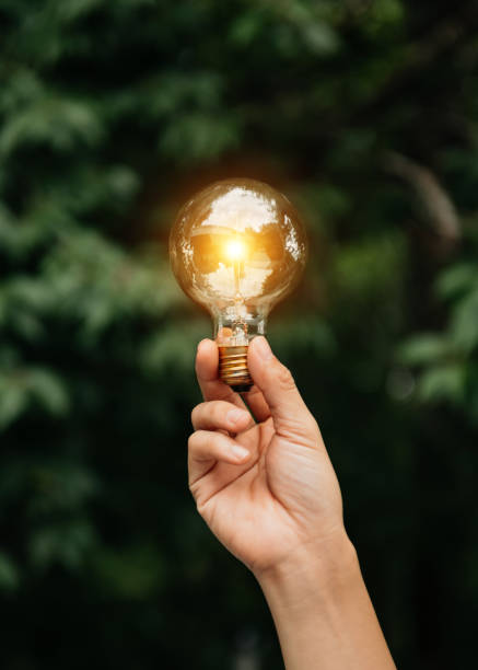 istock Man hand holding light bulb with green background. idea solar energy in nature concept 1435558365