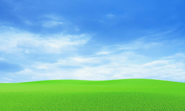 istock Blue sky and beautiful cloud with meadow tree. Plain landscape background for summer poster. The best view for holiday. picture of green grass field and blue sky with white clouds. 3D Rendering. 1435561116
