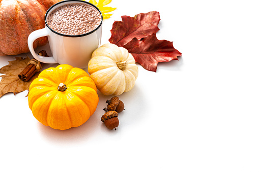 Autumn backgrounds: Mug with hot chocolate, gourds and dry leaves border shot  on white. The composition is at the left of an horizontal frame leaving useful copy space for text and/or logo at the right. High resolution 42Mp studio digital capture taken with SONY A7rII and Zeiss Batis 40mm F2.0 CF lens