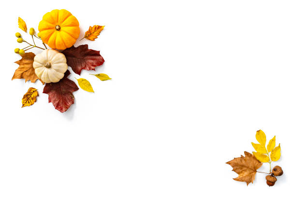 Autumn backgrounds: gourds and dry leaves border shot on white. The composition is at the top left and bottom right of an horizontal frame leaving useful copy space for text and/or logo. High resolution 42Mp studio digital capture taken with SONY A7rII and Zeiss Batis 40mm F2.0 CF lens
