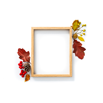 Autumn or Thanksgiving backgrounds:  picture frame with dry leaves decoration shot on white. Copy space for text and/or logo. High resolution 42Mp studio digital capture taken with SONY A7rII and Zeiss Batis 40mm F2.0 CF lens