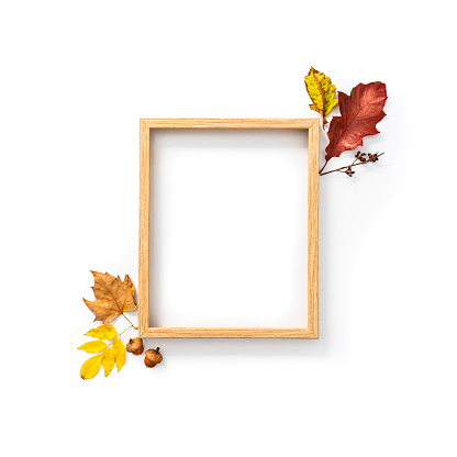 Autumn or Thanksgiving backgrounds: picture frame with dry leaves decoration shot on white. Copy space for text and/or logo. High resolution 42Mp studio digital capture taken with SONY A7rII and Zeiss Batis 40mm F2.0 CF lens