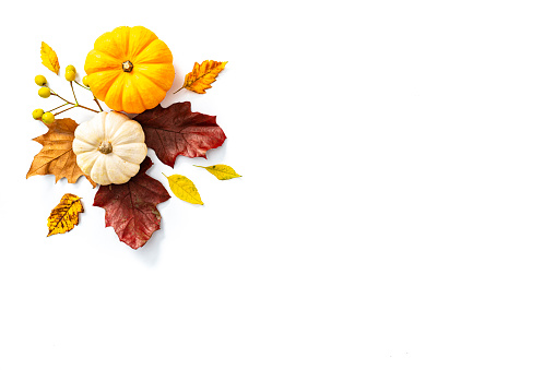 Autumn backgrounds: gourds and dry leaves border shot from above on white. The composition is at the top left of an horizontal frame leaving useful copy space for text and/or logo at the right. High resolution 42Mp studio digital capture taken with SONY A7rII and Zeiss Batis 40mm F2.0 CF lens