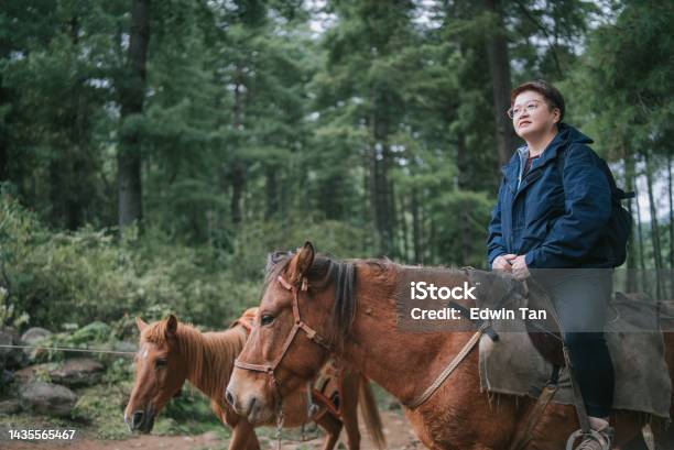 Asian Chinese Female Tourist Riding Horse Prepare Hiking Up To Taktsang Monastery Tiger Nest In Bhutan Stock Photo - Download Image Now