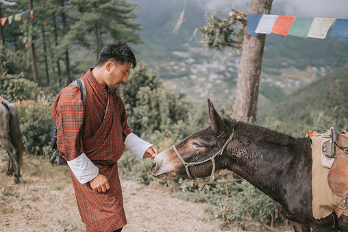 Bhutanese Tour Guide touching Mule after trail ride in Bhutan