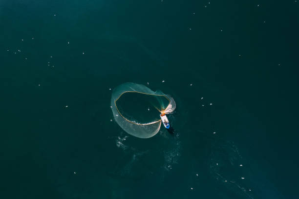 istock Drone View Fishing Boat Hauling Nets 1435571685
