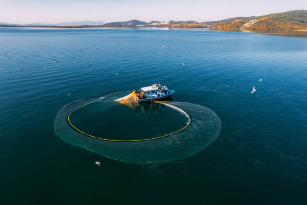 istock Drone View Fishing Boat Hauling Nets 1435571708