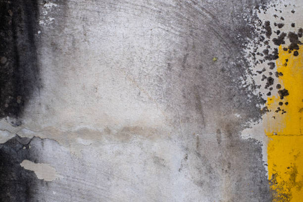 istock Old Concrete wall In black and white color, cement wall, broken wall, background texture 1435575181