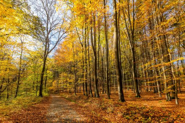 istock View of scenic colorful landscape 1435575346