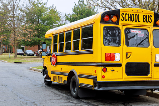 A fleet of school buses, ready for the upcoming school year.