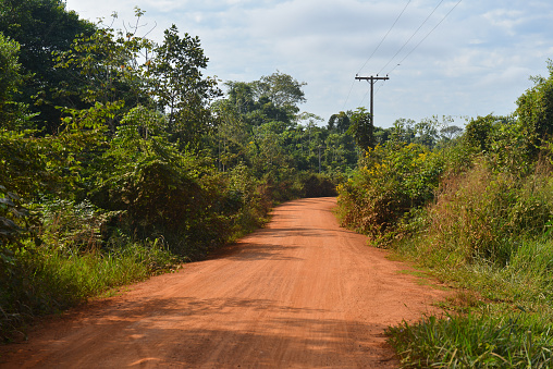 Rural road cutting through the Amazon rainforest in Pará