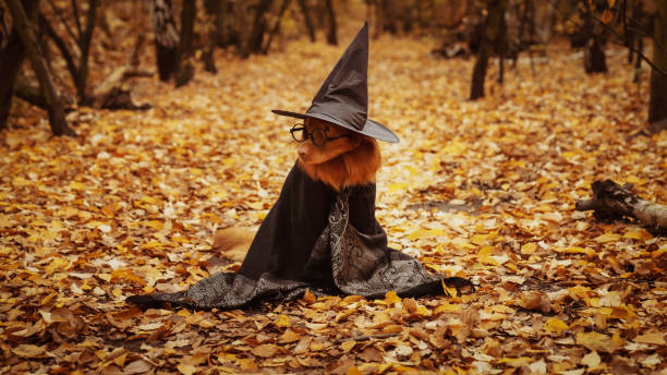 istock A dog dressed as a wizard. Halloween 1435582108