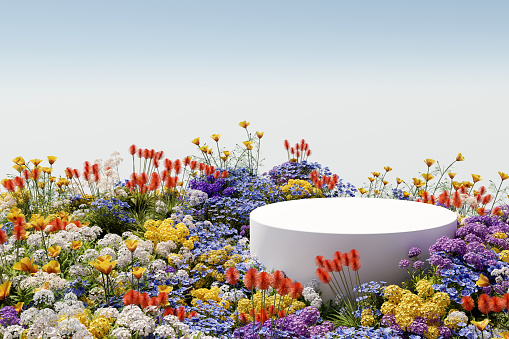 3D rendering, Platform and natural podium background on colorful flowers field with sky for product  stand display advertising cosmetic beauty products or skincare with empty round stage