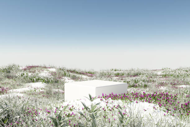 istock 3d render platform and Natural podium background on ice snow and snow covered grass field for product display, Blank showcase, mock up template or cosmetic presentation with empty round stage 1435585544