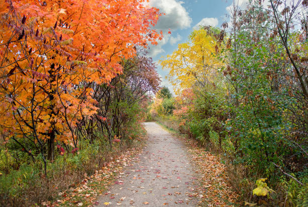 istock Canadian autumn colors 1435590332
