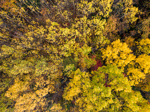 Looking down on Autumn colors.
