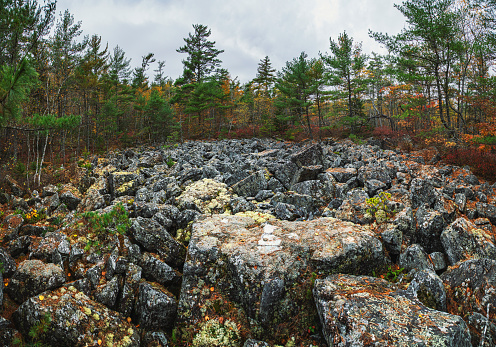 A wide view of a large area of boulders in a forest area.