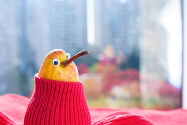 Cute pear character in red sweater basking in the sun sitting by a window on a cold autumn day. Late heating season start concept.