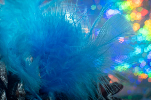 istock Close-up of blue feathers. 1435595333