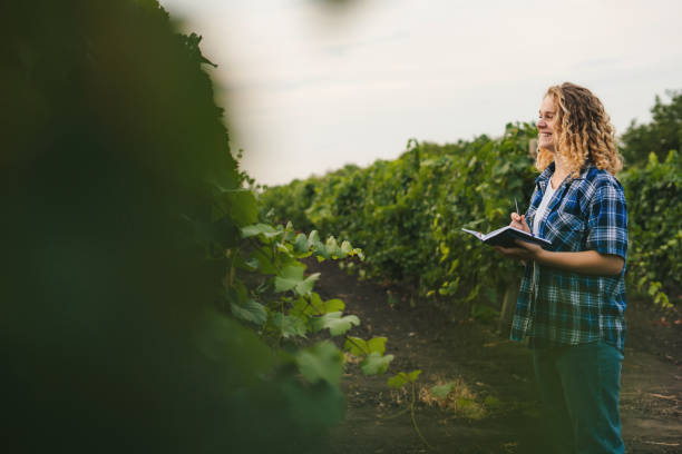istock Side view of a gardener holding a notepad looking for information and taking notes. Smart agriculture. Agriculture concept. Environment research. Business analysis. Green technology. Internet network concept. Digital data. 1435595422