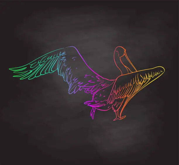 Vector illustration of Pelican Taking Off Rainbow Blackboard