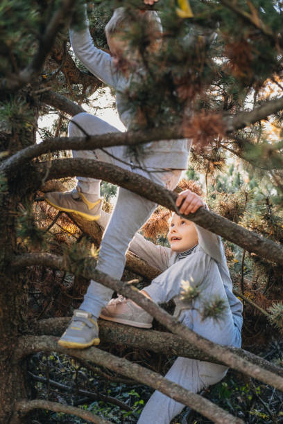 istock A boy and a girl having fun while climbing up on a pine tree while playing in the autumn park. Enjoying play time on warm autumn day. Outdoors activities, games concept. 1435597353