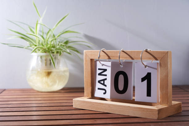 istock Calendar 1st january with spider plant against white wall 1435597415
