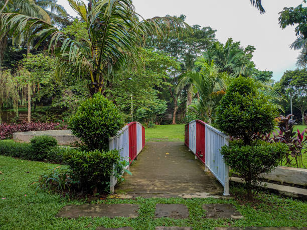 istock A small bridge inside a city park to cross a small river 1435598397