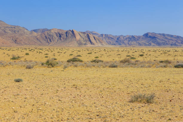 Namibian landscape. African savannah during a hot day. Mountain in the background. Namibia.