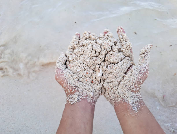 istock hands and sand of beach 1435602493