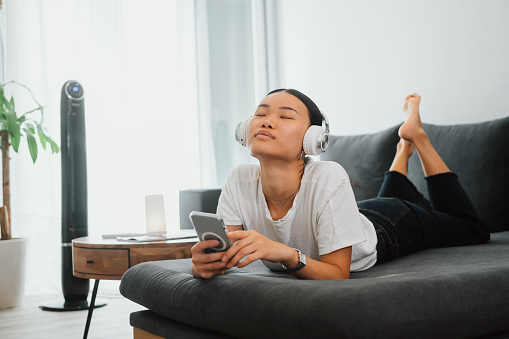 Earphones on the gray background, digital audio accessory