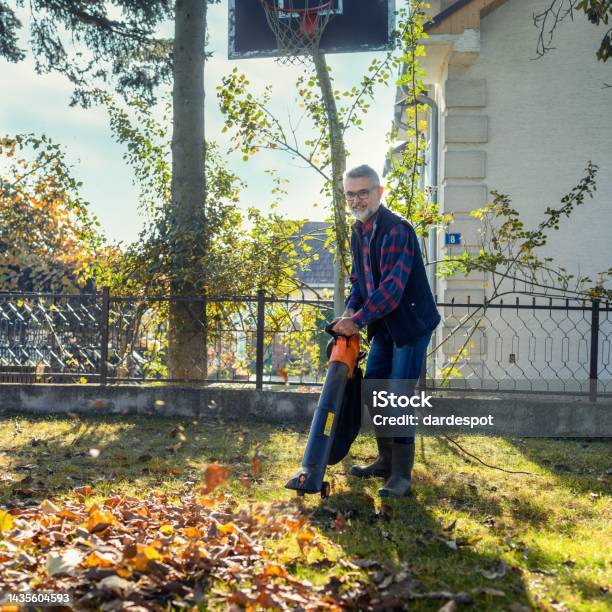 Mature Man In Yard Backyard Using Leaf Blower Stock Photo - Download Image Now - Leaf Blower, One Person, People