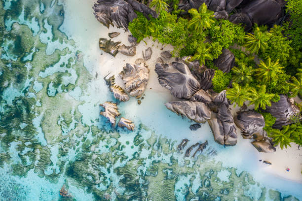istock Directly above tropical island beach 1435604768