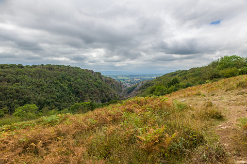 View down the tree lined valley from the top of the Cheddar Gorge in Somerset, England