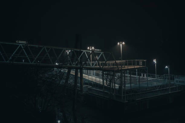 Spooky looking doc along the Sacramento River on a foggy night.