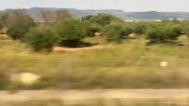 Cultivated land seen from train in motion