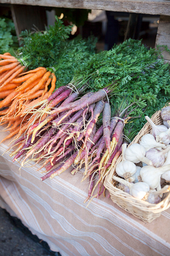A large stack of freshly-picked purple and orange carrots, and a basket of garlic bulbs, on display at a farmer's market..
